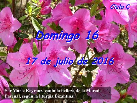 Ciclo C Domingo 16 17 de julio de 2016