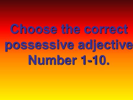 Choose the correct possessive adjective Number 1-10.