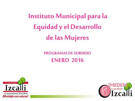 Instituto Municipal para la Equidad y el Desarrollo de las Mujeres