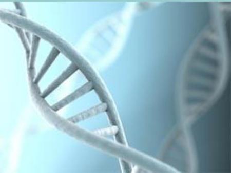 El ADN. El ADN es el código genético único que determina muchas de las características individuales del ser humano. El ADN se encuentra en la mayor parte.