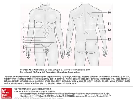 Patrones de dolor referido en el abdomen agudo, según Greenfield