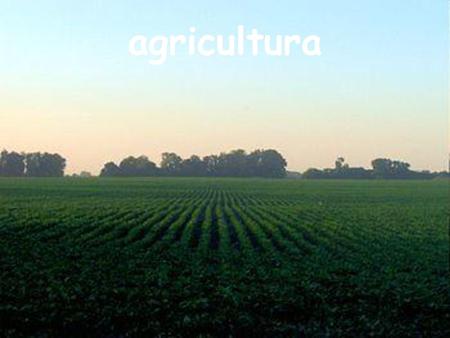 Agricultura agricultura.