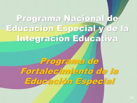 Programa Nacional de Educación Especial y de la Integración Educativa