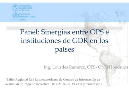 Panel: Sinergias entre OPS e instituciones de GDR en los países