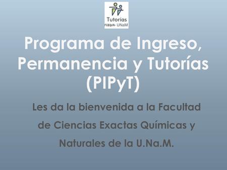Programa de Ingreso, Permanencia y Tutorías (PIPyT)