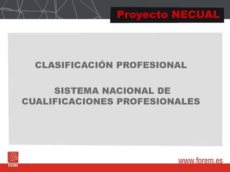 Proyecto NECUAL CLASIFICACIÓN PROFESIONAL