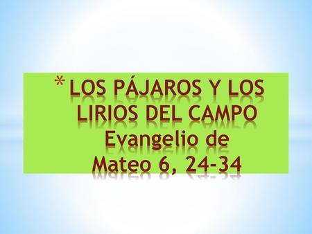 LOS PÁJAROS Y LOS LIRIOS DEL CAMPO Evangelio de Mateo 6, 24-34