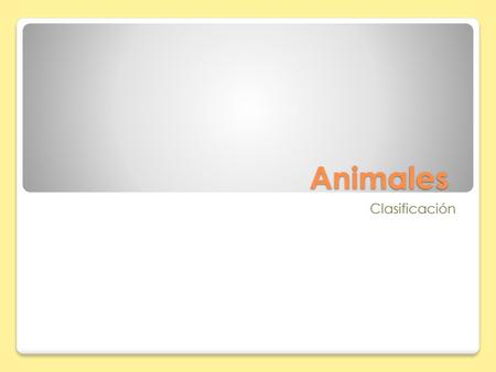 Animales Clasificación.