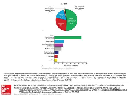 Grupo étnico de personas (incluidos niños) con diagnóstico de VIH/sida durante el año 2009 en Estados Unidos. A. Proporción de nuevas infecciones por raza/grupo.