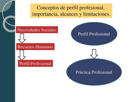 Conceptos de perfil profesional, importancia, alcances y limitaciones.
