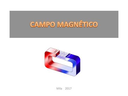 CAMPO MAGNÉTICO Mila 2017.