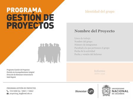 Nombre del Proyecto Identidad del grupo Informe SEM I 2016