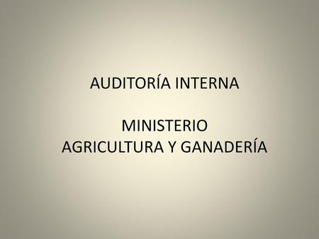 AUDITORÍA INTERNA MINISTERIO AGRICULTURA Y GANADERÍA