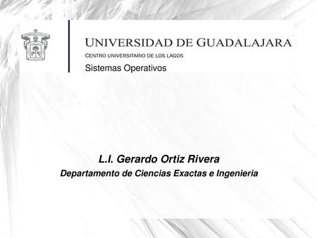 L.I. Gerardo Ortiz Rivera
