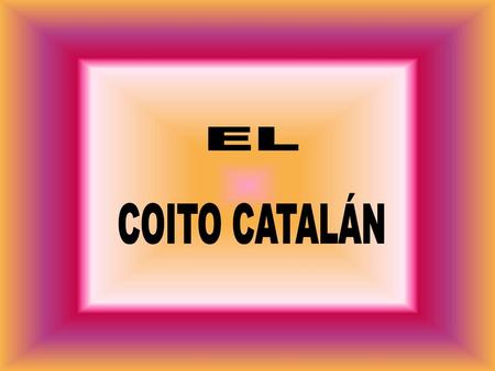 EL COITO CATALÁN.