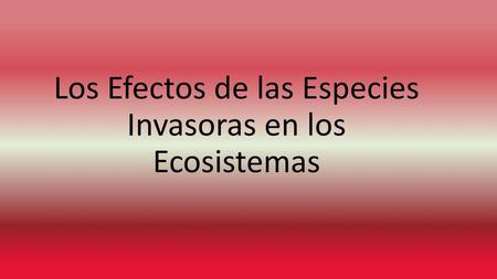 Los Efectos de las Especies Invasoras en los Ecosistemas