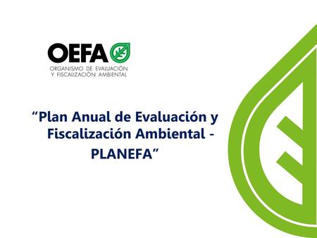 “Plan Anual de Evaluación y Fiscalización Ambiental -