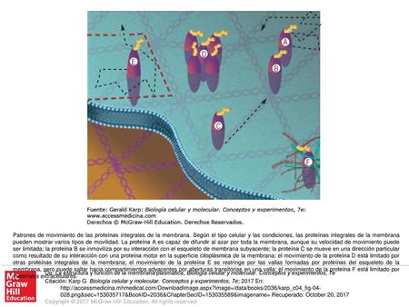 Patrones de movimiento de las proteínas integrales de la membrana