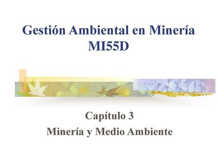 Gestión Ambiental en Minería MI55D
