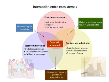 Interacción entre ecosistemas