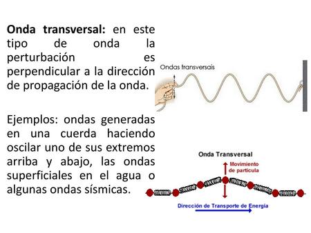 Onda transversal: en este tipo de onda la perturbación es perpendicular a la dirección de propagación de la onda. Ejemplos: ondas generadas en una cuerda.