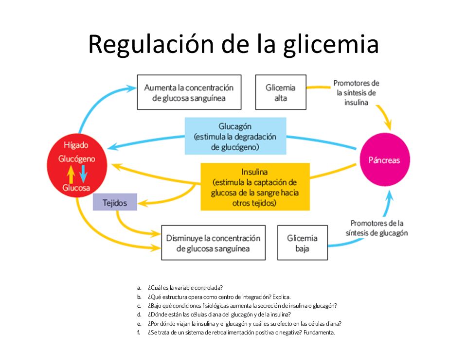 CLASE 2 – REFORZAMIENTO DE CONTENIDOS - ppt video online CLASE 2 – REFORZAMIENTO DE CONTENIDOS - ppt video online