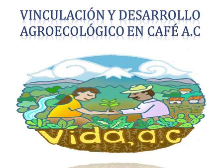 Vinculación y Desarrollo Agroecológico en Café A.C