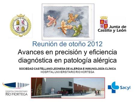 Reunión de otoño 2012 Avances en precisión y eficiencia diagnóstica en patología alérgica SOCIEDAD CASTELLANO LEONESA DE ALERGIA E INMUNOLOGÍA CLÍNICA.