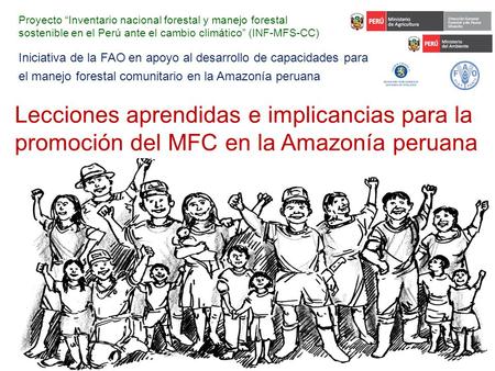 Proyecto “Inventario nacional forestal y manejo forestal sostenible en el Perú ante el cambio climático” (INF-MFS-CC) Iniciativa de la FAO en apoyo al.