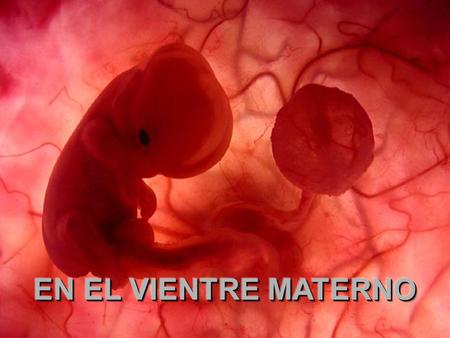 Ria slides  Las imágenes utilizadas en esta presentación son parte del documental “En el vientre materno” producido.