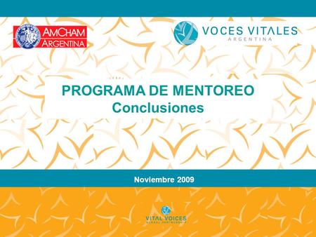 Noviembre 2009 PROGRAMA DE MENTOREO Conclusiones.