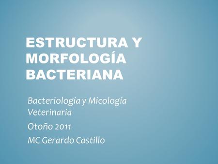 Estructura y Morfología BACTERIANA