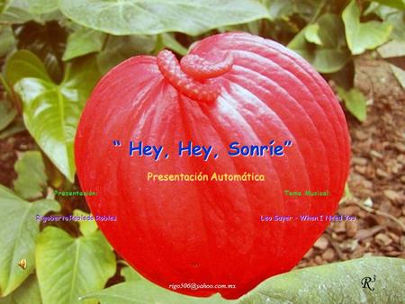 “ Hey, Hey, Sonríe” R3 Presentación Automática Presentación: