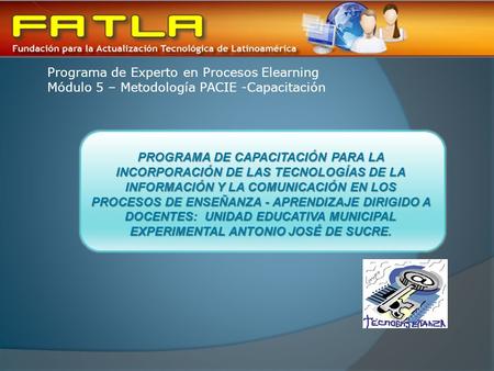 Programa de Experto en Procesos Elearning