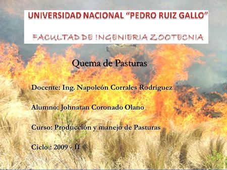 Quema de Pasturas Docente: Ing. Napoleón Corrales Rodríguez