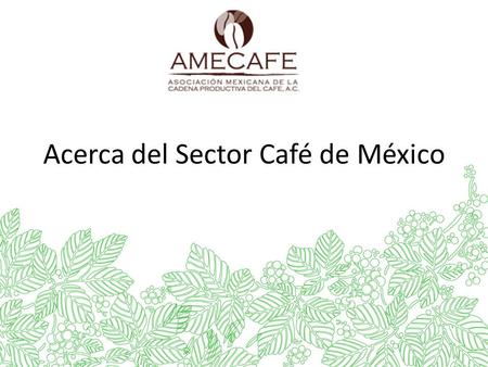 Acerca del Sector Café de México