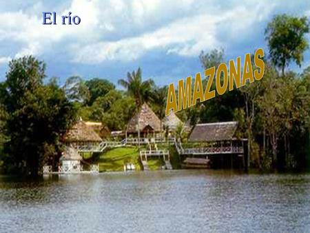 El río AMAZONAS AMAZONAS.