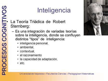 Inteligencia La Teoría Triádica de Robert Sternberg: