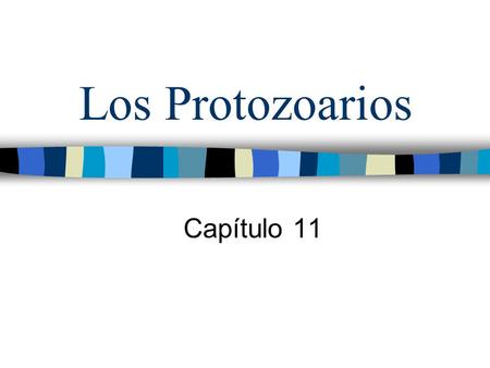 Los Protozoarios Capítulo 11.