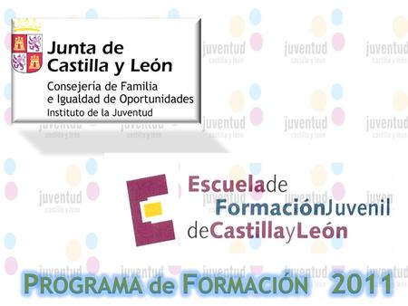 Consejería de la que dependen las políticas de juventud en Castilla y León El Instituto de la Juventud, creado por Ley 3/2006, promueve –entre otras-
