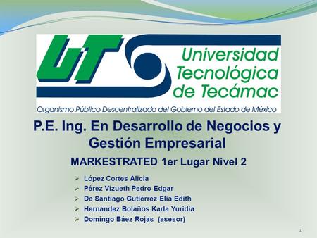 P.E. Ing. En Desarrollo de Negocios y Gestión Empresarial