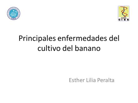 Principales enfermedades del cultivo del banano