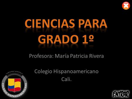 Profesora: María Patricia Rivera Colegio Hispanoamericano Cali.