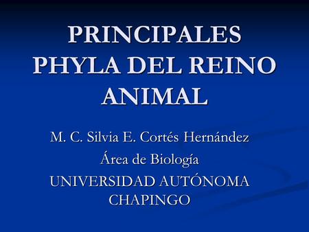 PRINCIPALES PHYLA DEL REINO ANIMAL
