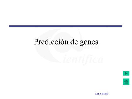 Predicción de genes.