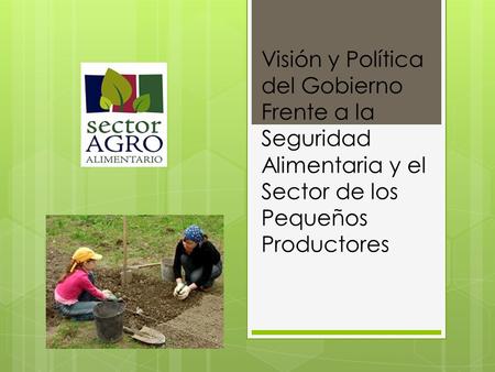 Visión y Política del Gobierno Frente a la Seguridad Alimentaria y el Sector de los Pequeños Productores.