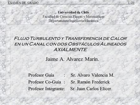 Profesor Guía : Sr. Alvaro Valencia M.