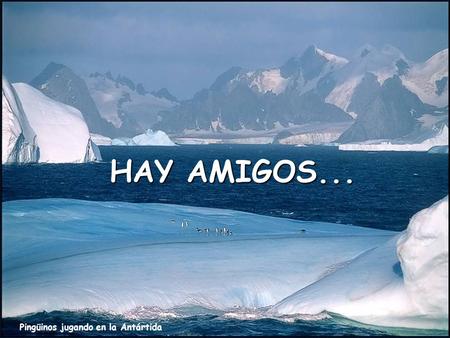 HAY AMIGOS... Pingüinos jugando en la Antártida.