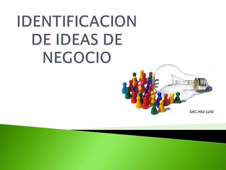 IDENTIFICACION DE IDEAS DE NEGOCIO