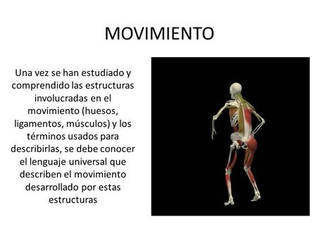 MOVIMIENTO Una vez se han estudiado y comprendido las estructuras involucradas en el movimiento (huesos, ligamentos, músculos) y los términos usados para.
